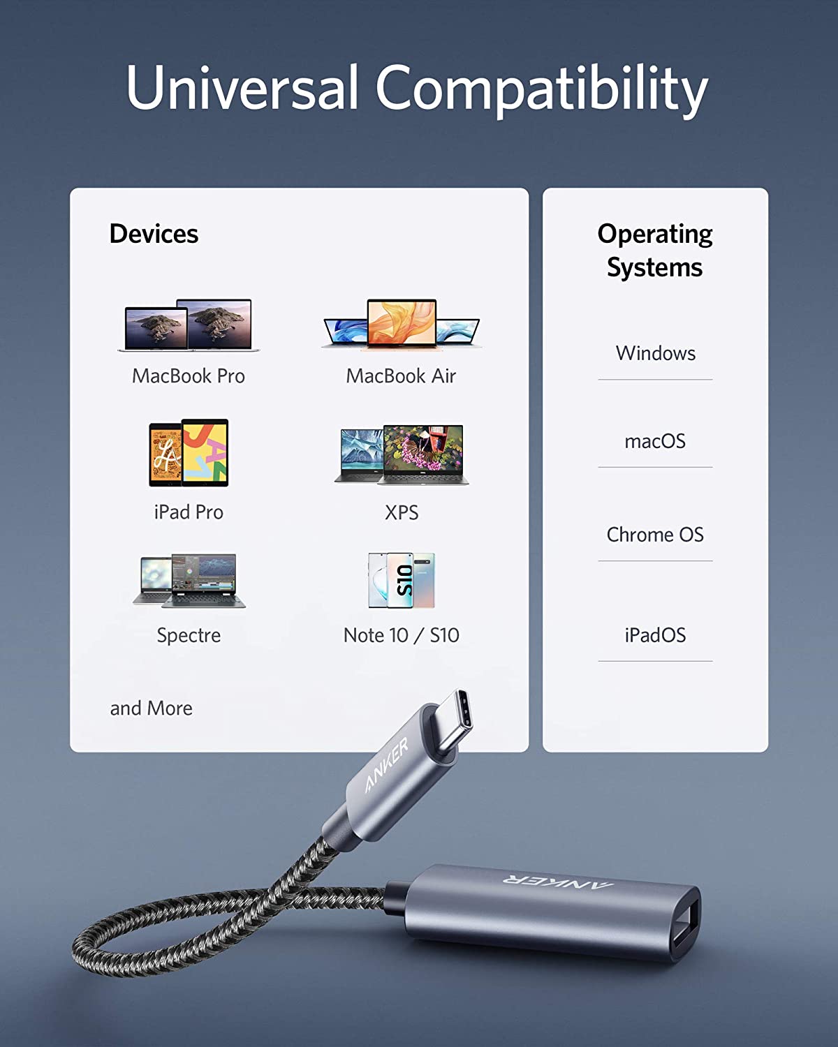 PowerExpand USB-C to DisplayPort Adapter Z6