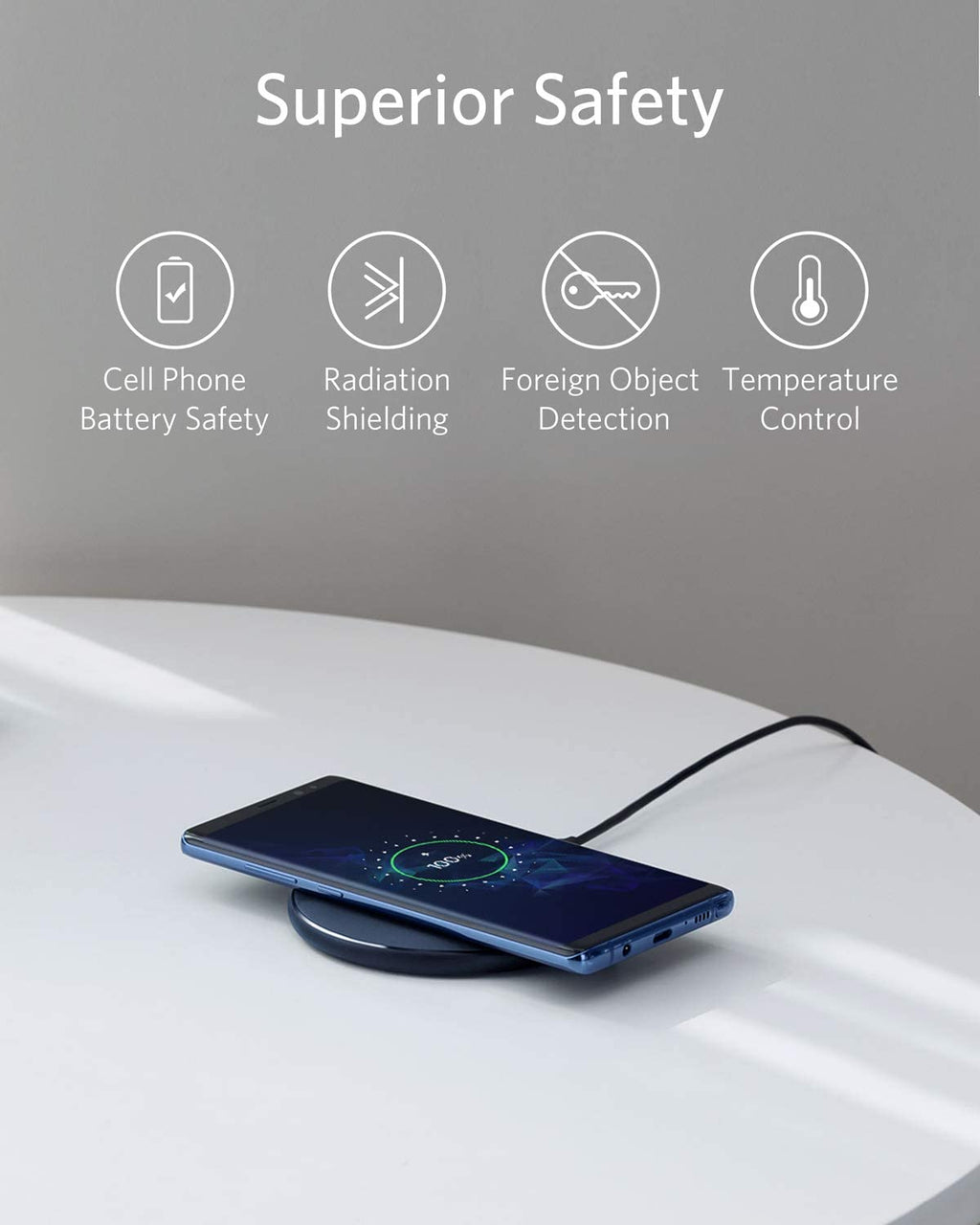 313 Wireless Charger (Pad) C4