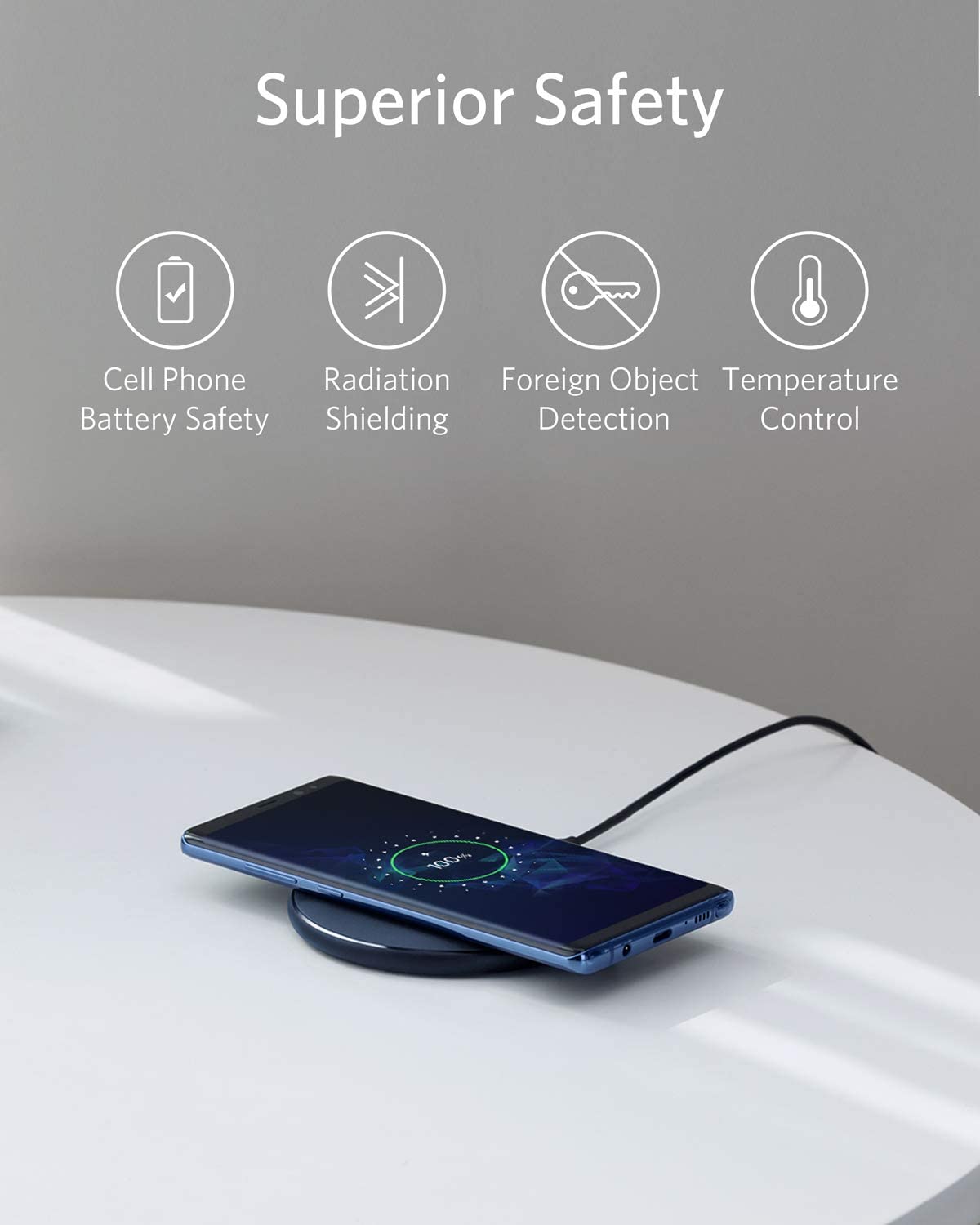 313 Wireless Charger (Pad) C4