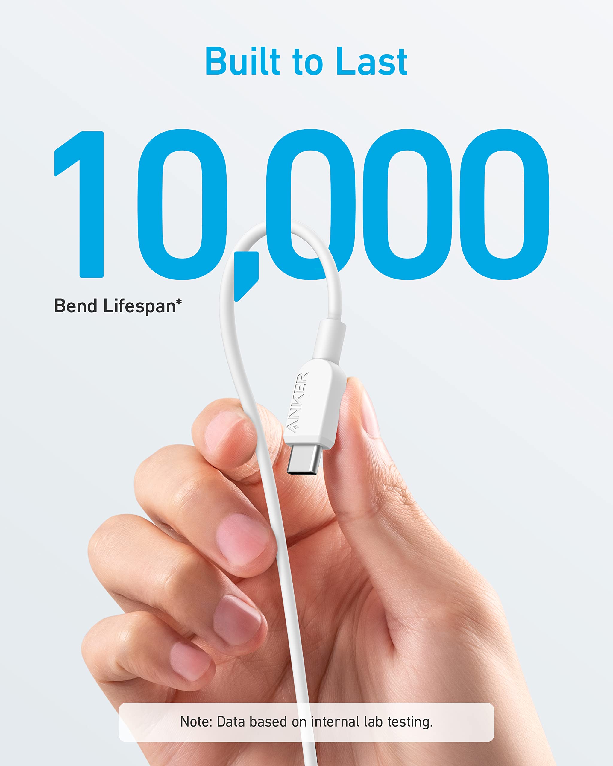 310 USB-C to USB-C Cable (3 ft) I9